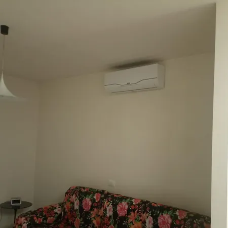 A Casa Di Oreste E Olivia *